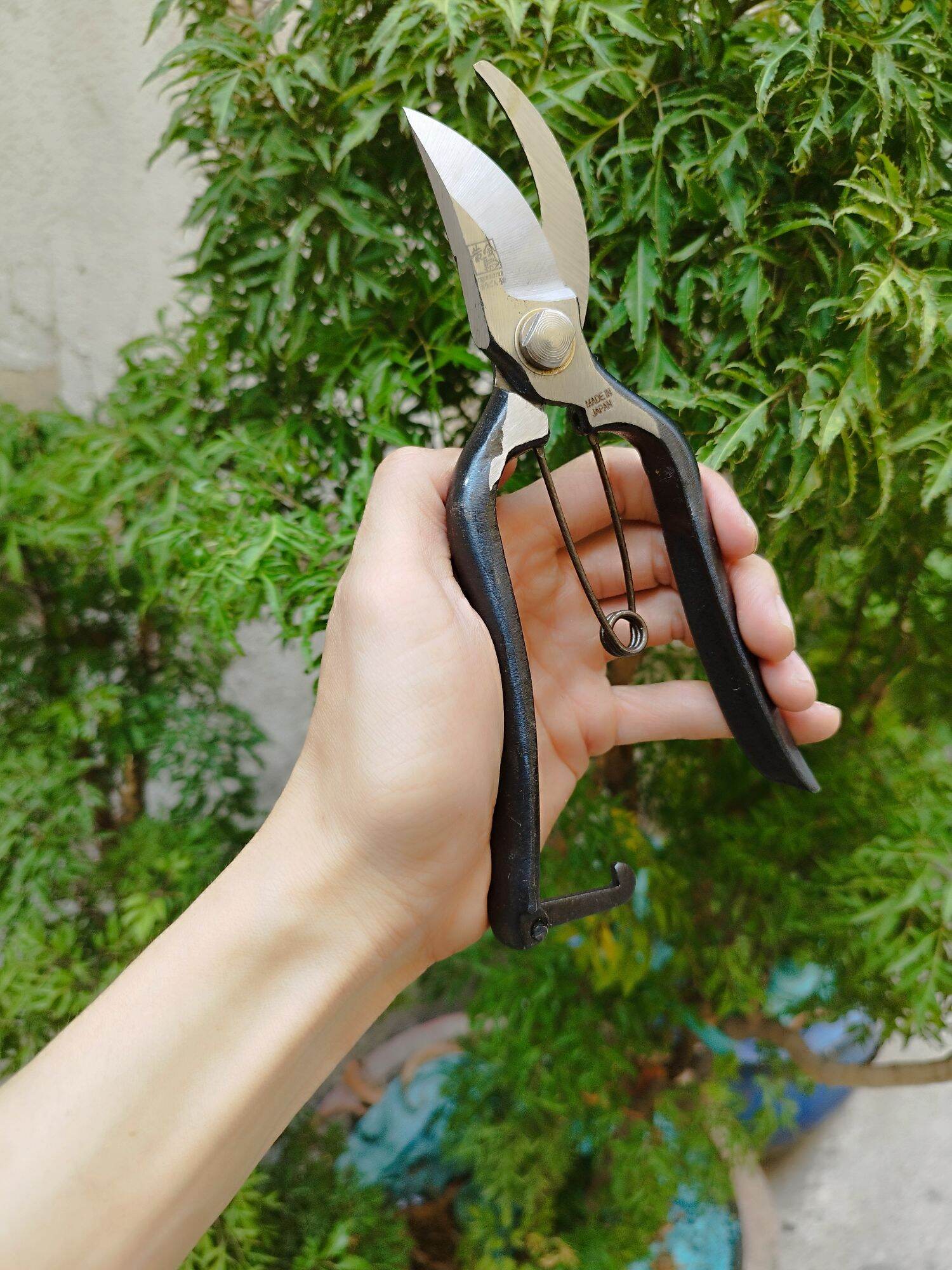 KÉO CẮT CÀNH CÁN ĐÚC HÀNG NHẬT BÃI MỚI 90%