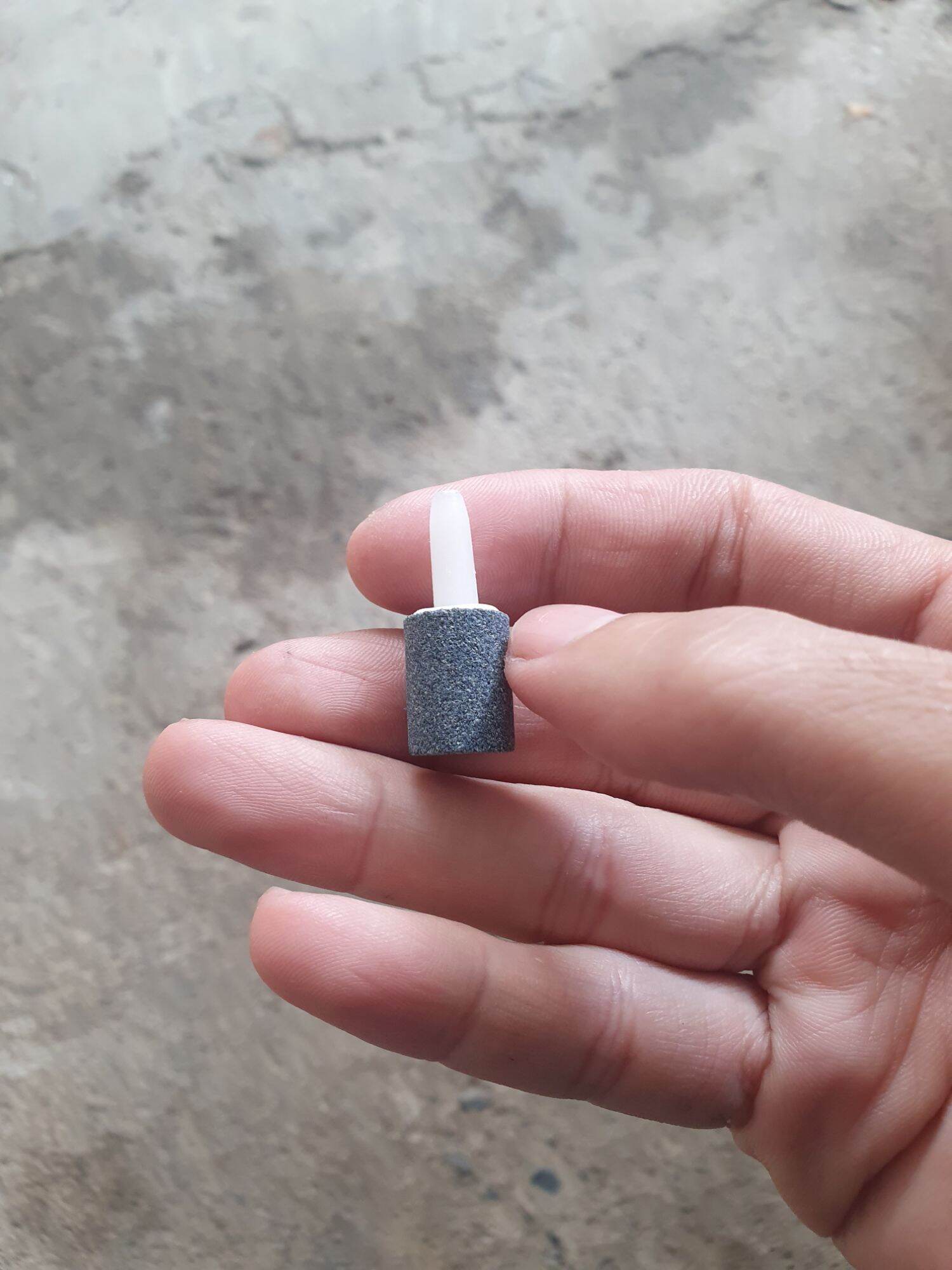 Sủi mini cho lọc taiwan