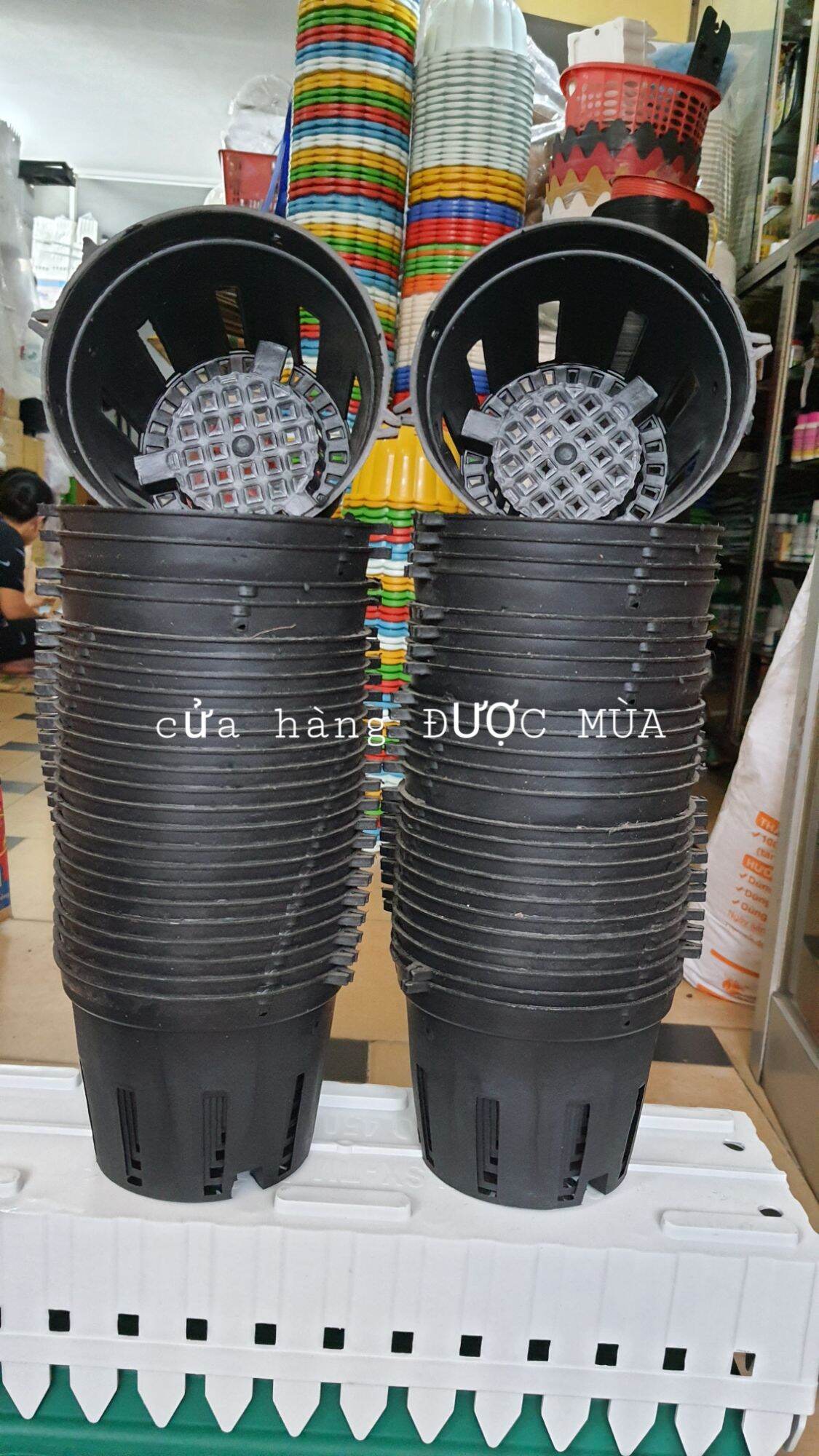 10 chậu nhựa trồng lan phi 14