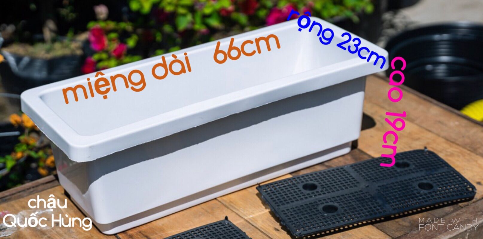 Máng dài - trồng rau nuôi cá
