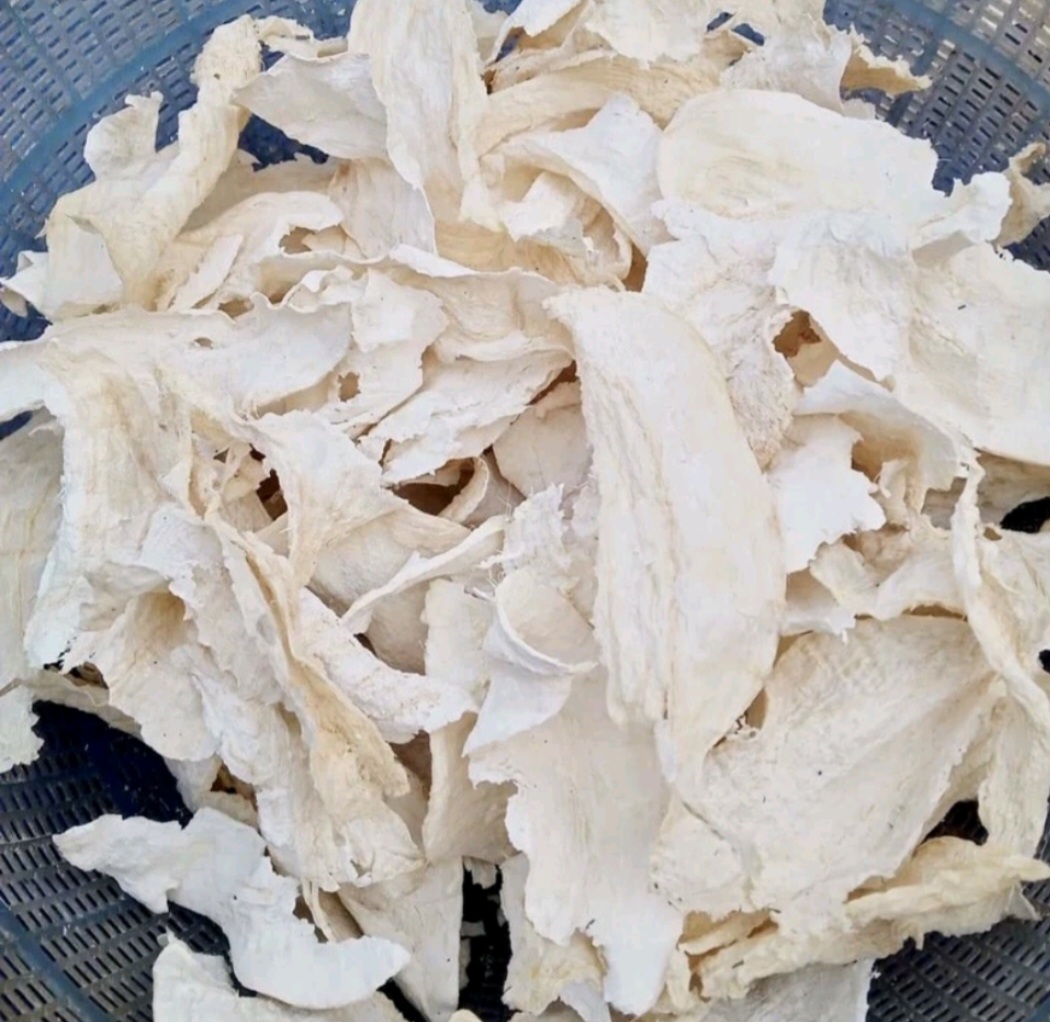 Sâm Tố Nữ Nguyên Chất Dạng Bột, 100g