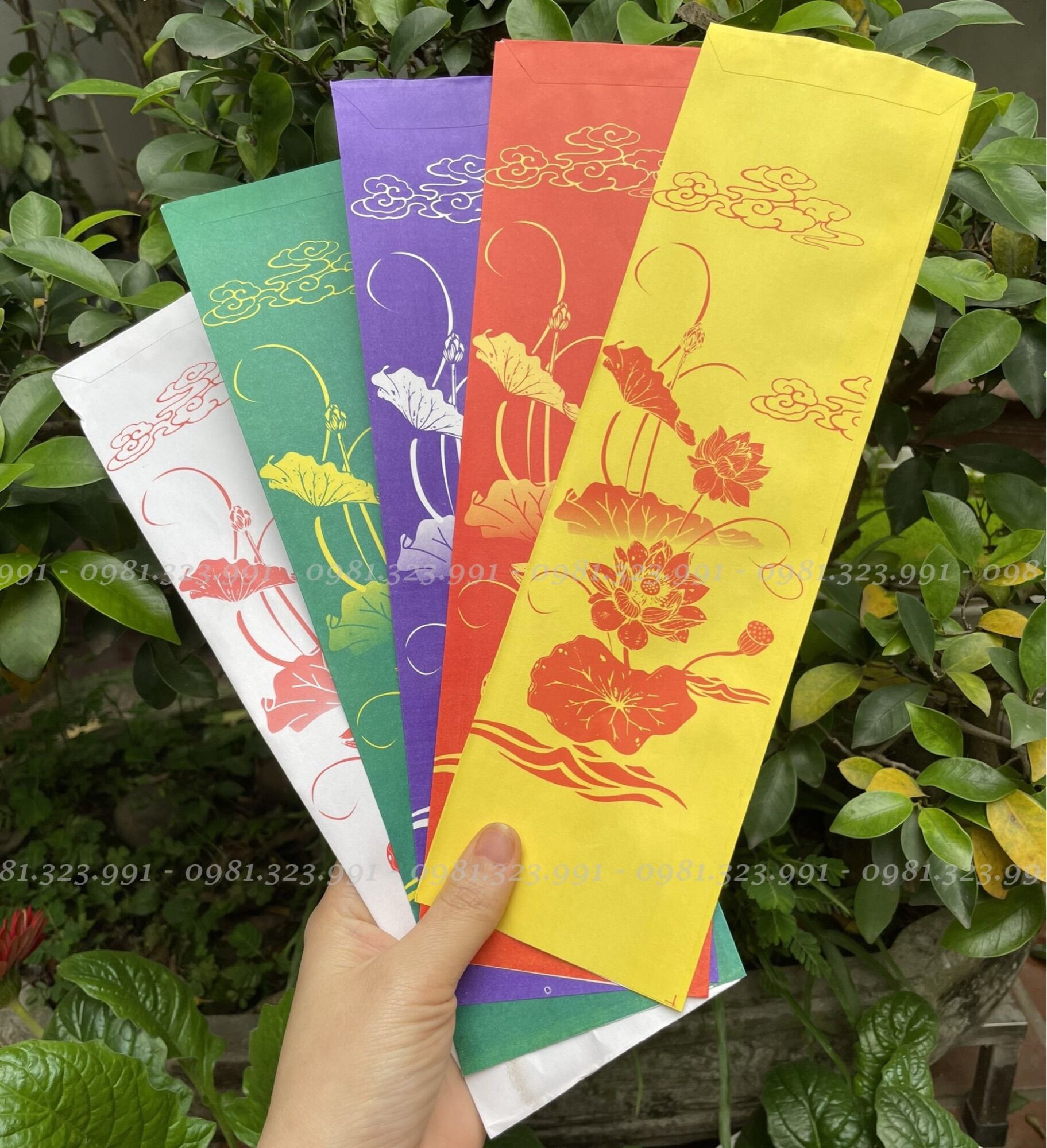500 Vỏ sớ hoa sen