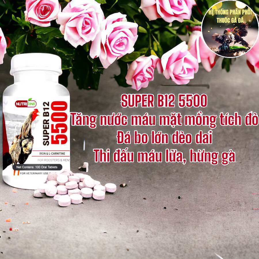 THUỐC GÀ ĐÁ SUPER B12 5500 BIOVET TĂNG NƯỚC MÁU HỪNG GÀ ĐÁ BO LỚN