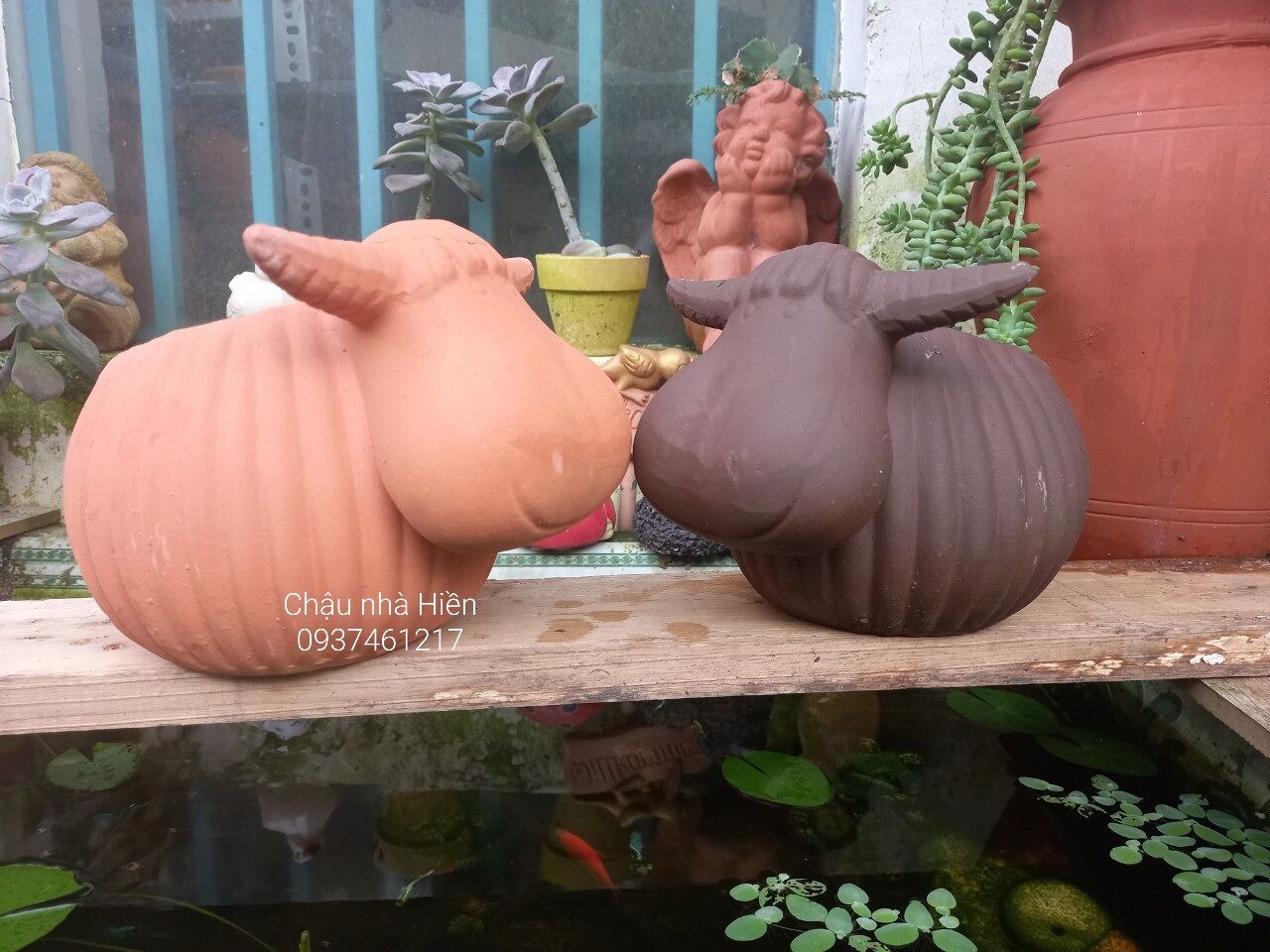 Chậu đất nung Bình Dương hình trâu bí m7x c13
