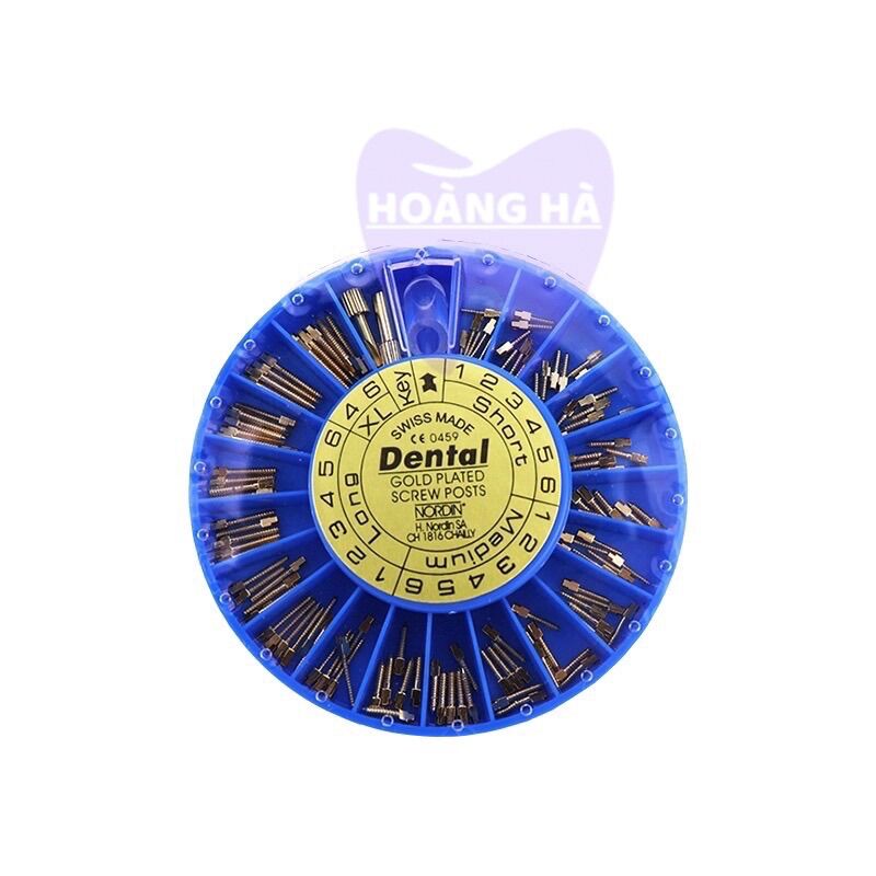 Chốt kim loại Dental hộp 120 cái