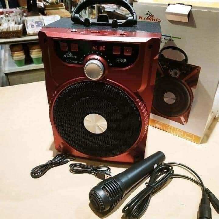 Loa karaoke P88