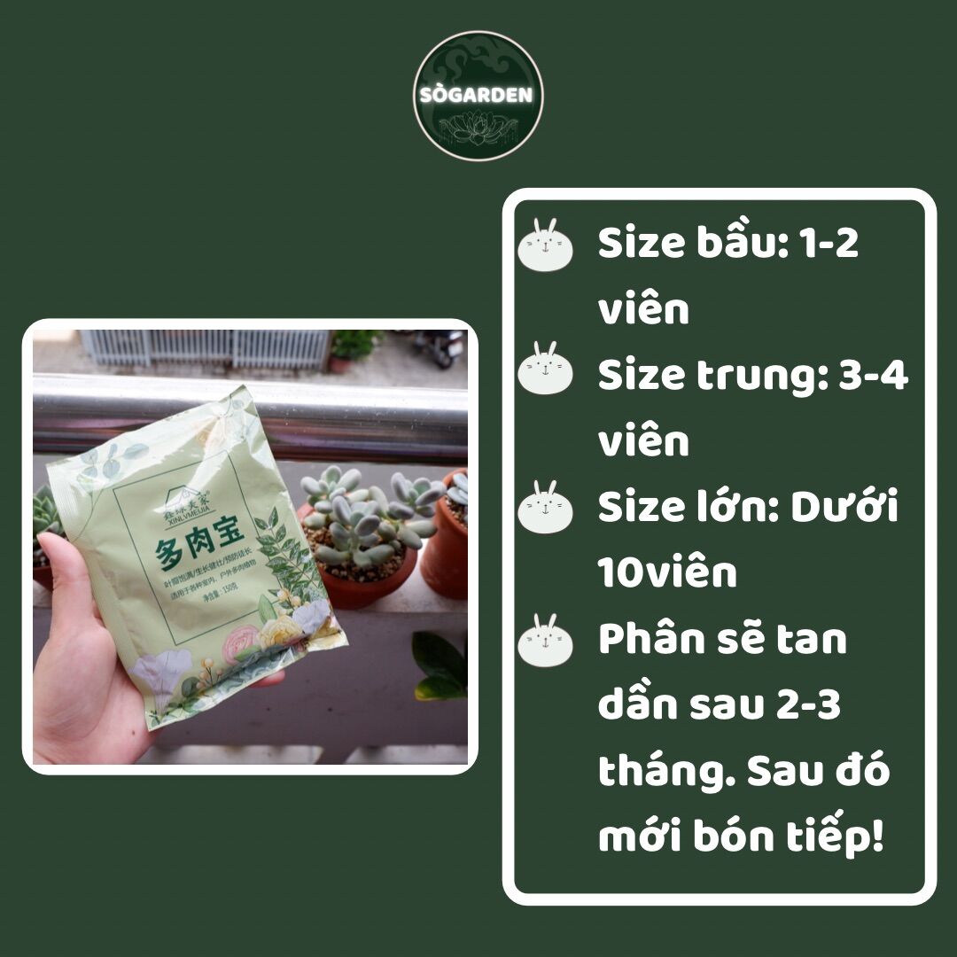 Phân tan chậm dành cho sen đá, xương rồng 150g