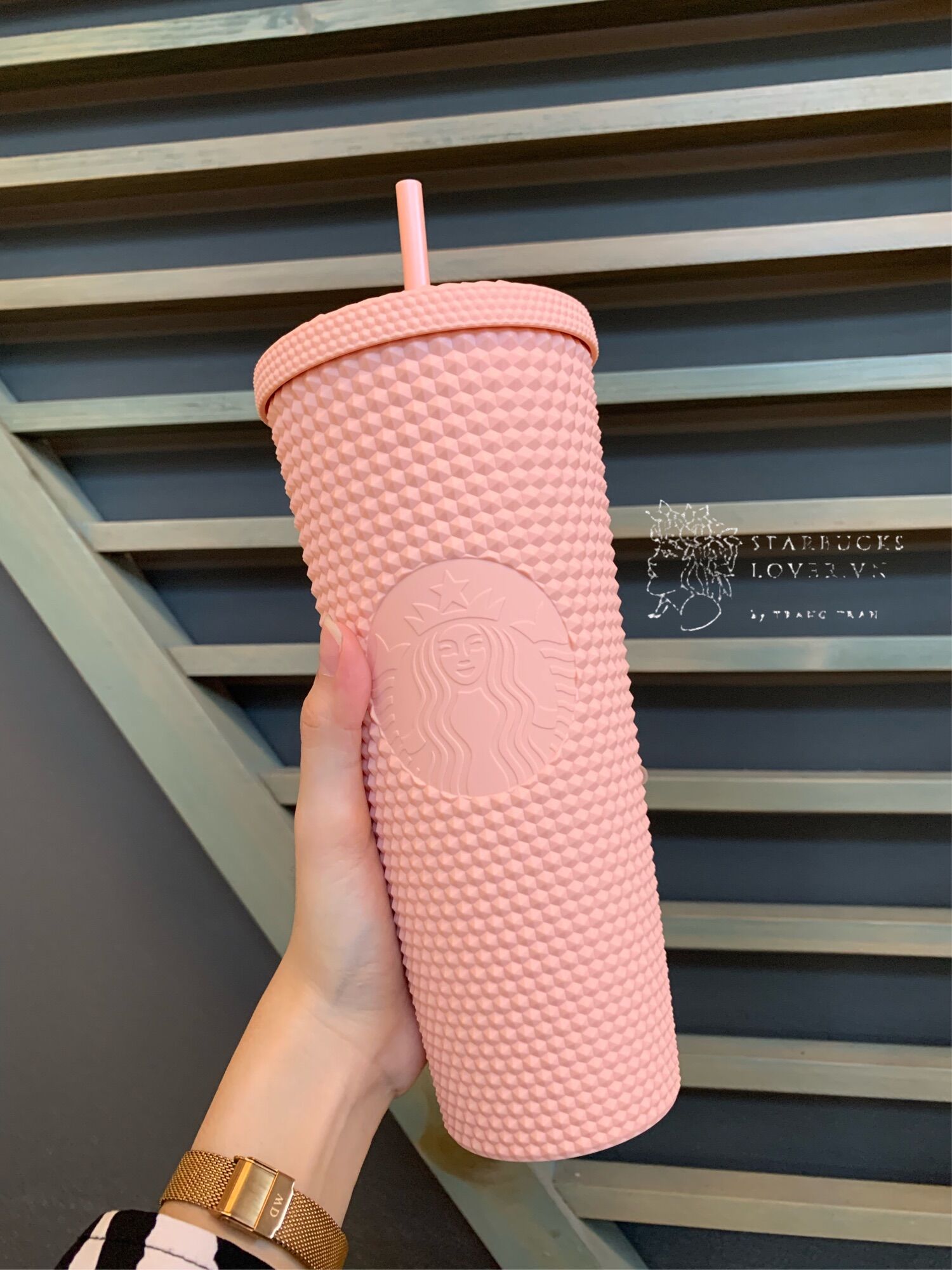 |chính hãng| ly gai starbucks màu pastel size khủng 710ml