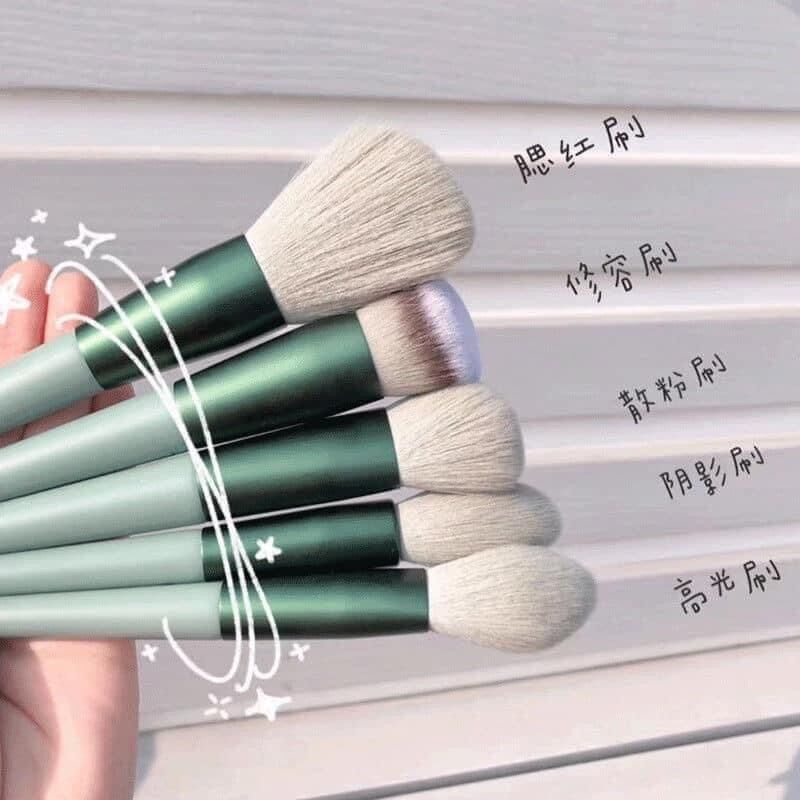 [Cao cấp]Bộ cọ trang điểm cá nhân 13 món Fix+