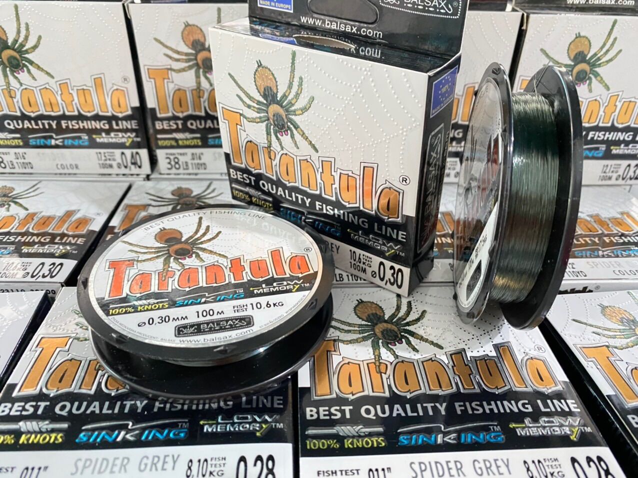 CƯỚC CÂU CÁ TARANTULA 100m – NHỆN