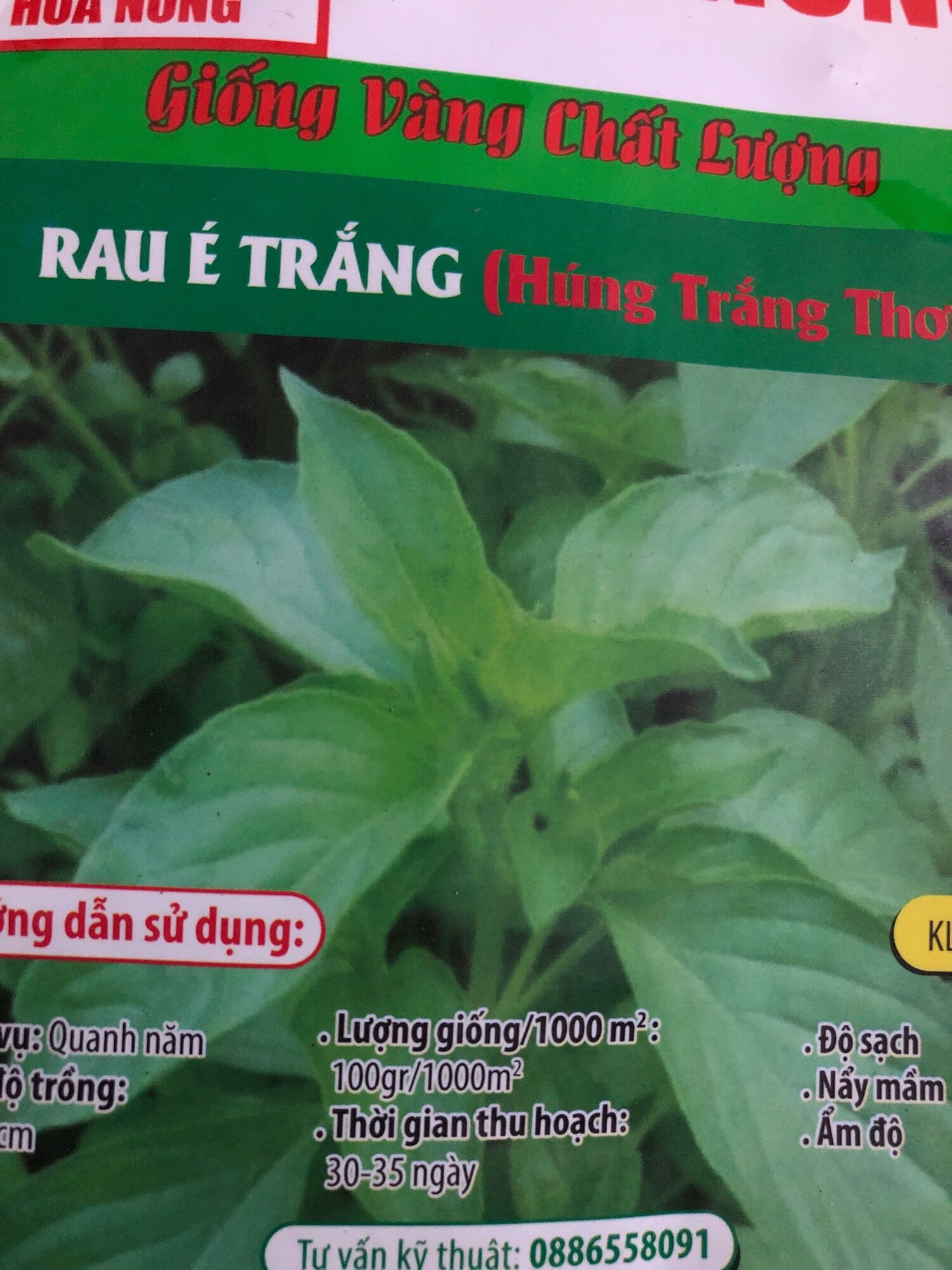 Hạt giống rau É Trắng, é thơm sả