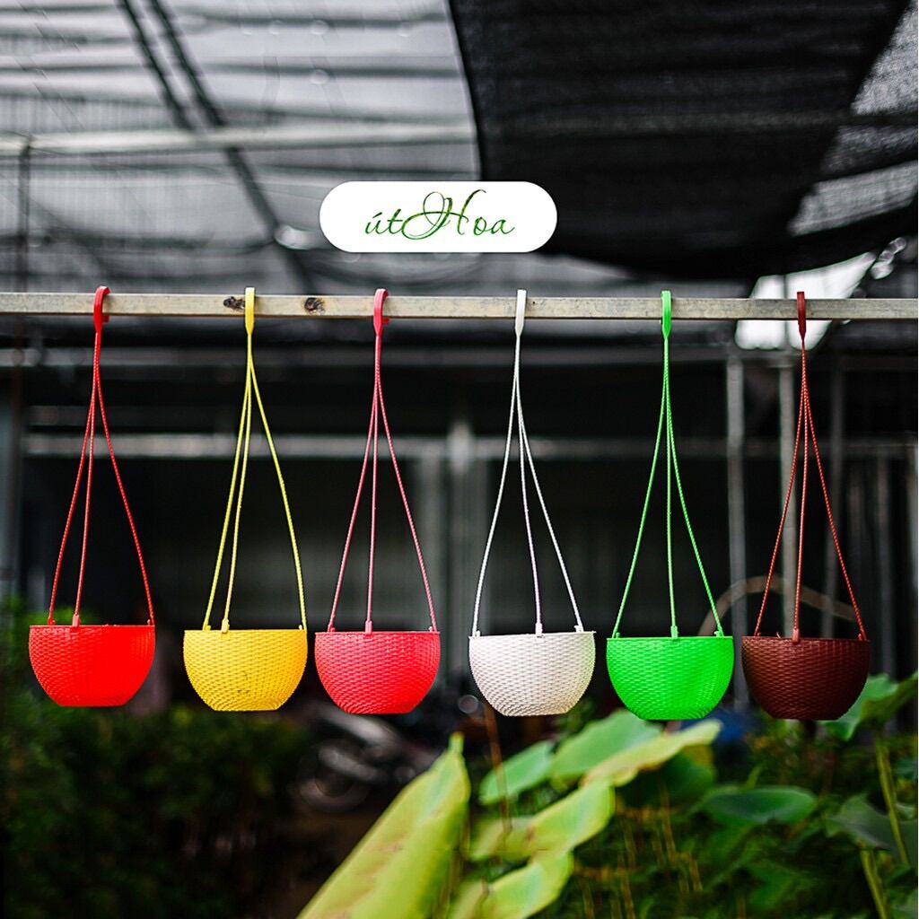 Combo 10 chậu treo mây lớn đủ màu (kèm dây treo)