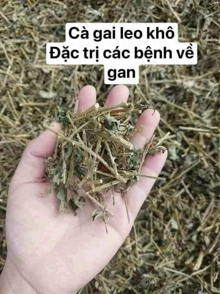 Cà gai leo, cà gai leo khô Hòa Bình ( 1Kg) mát gan