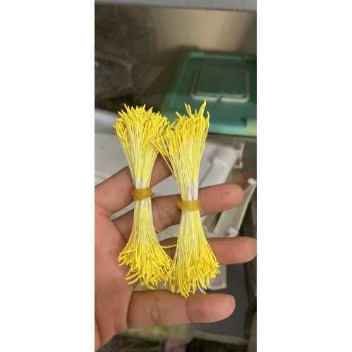 Long Pistil - Apricot Pistil (1 Bunch of 6 Small Pieces)