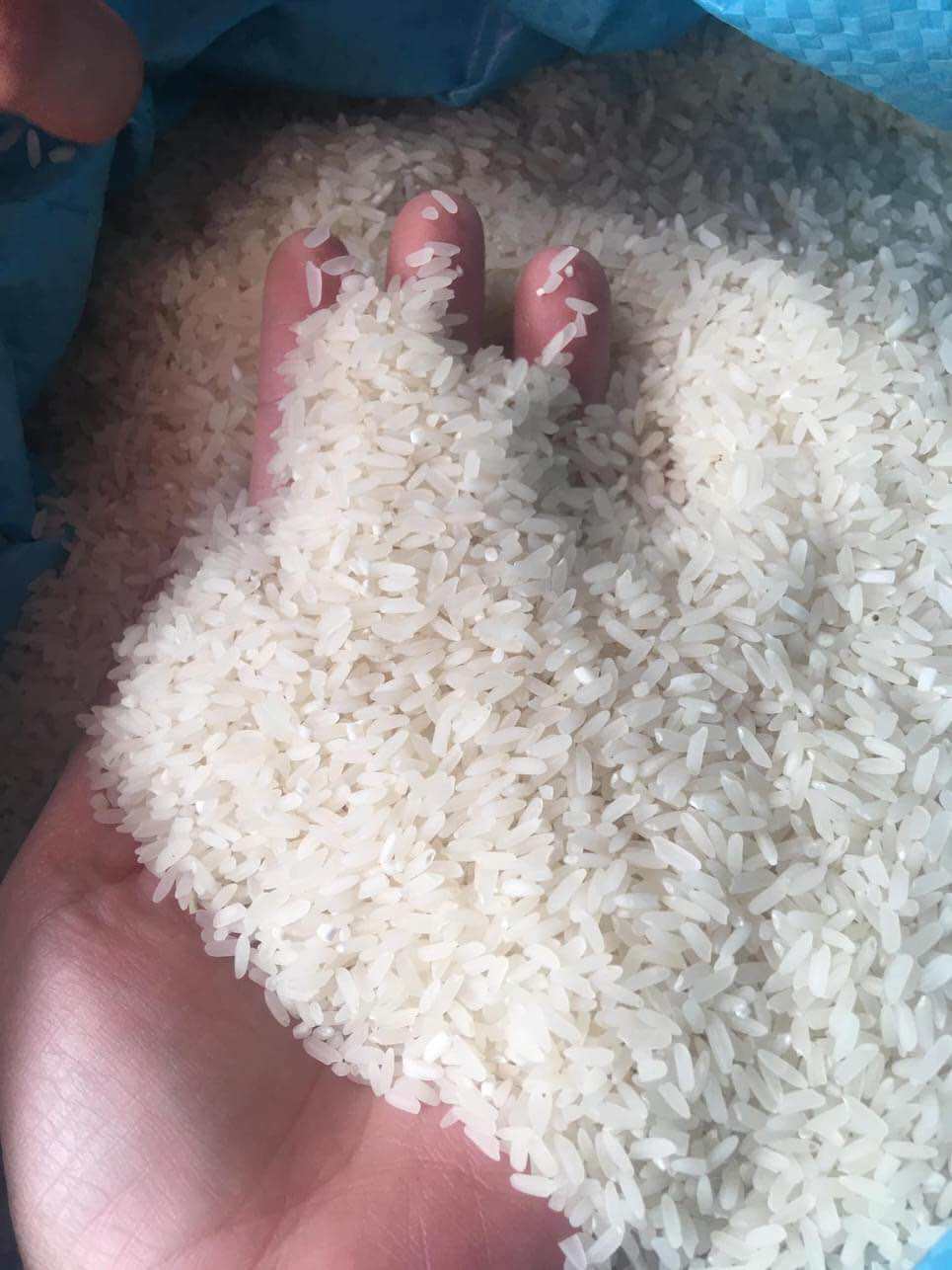 Gạo quê sạch túi 5kg