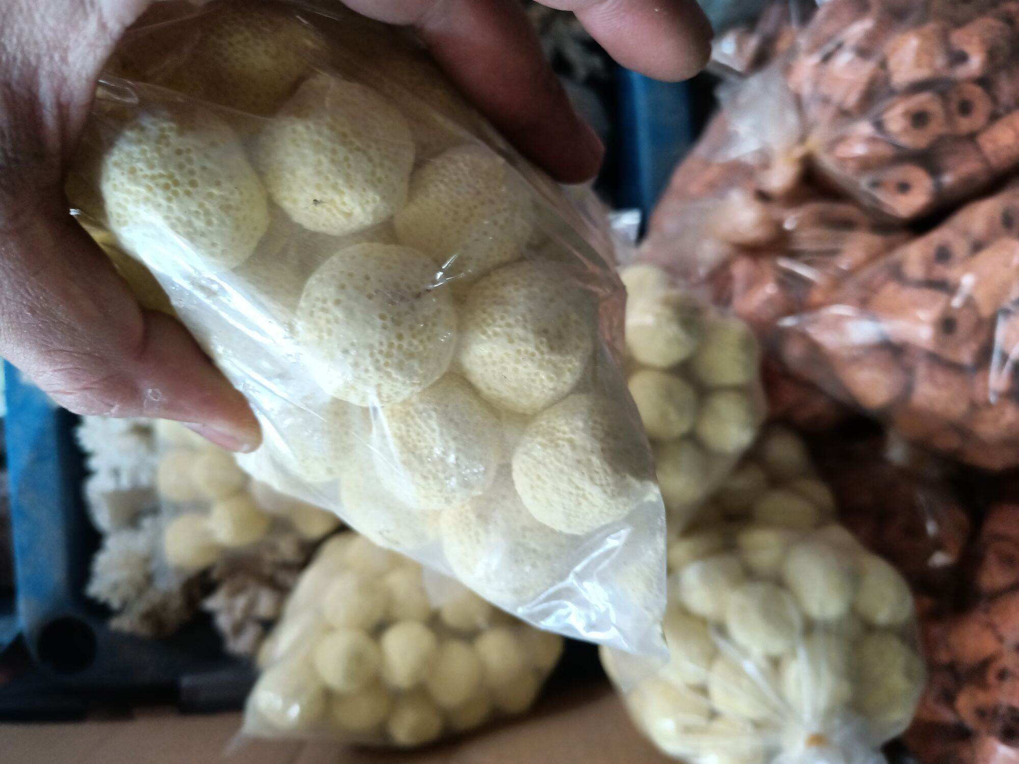 SỨ VIÊN ĐỎ , SỨ VIÊN LỌC NƯỚC CHO HỒ CÁ ( TÚI 500G )