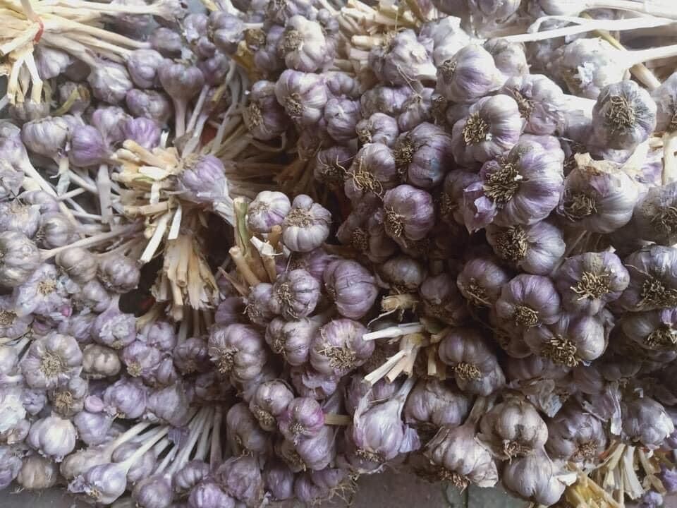 Tỏi tía ta khô 1kg