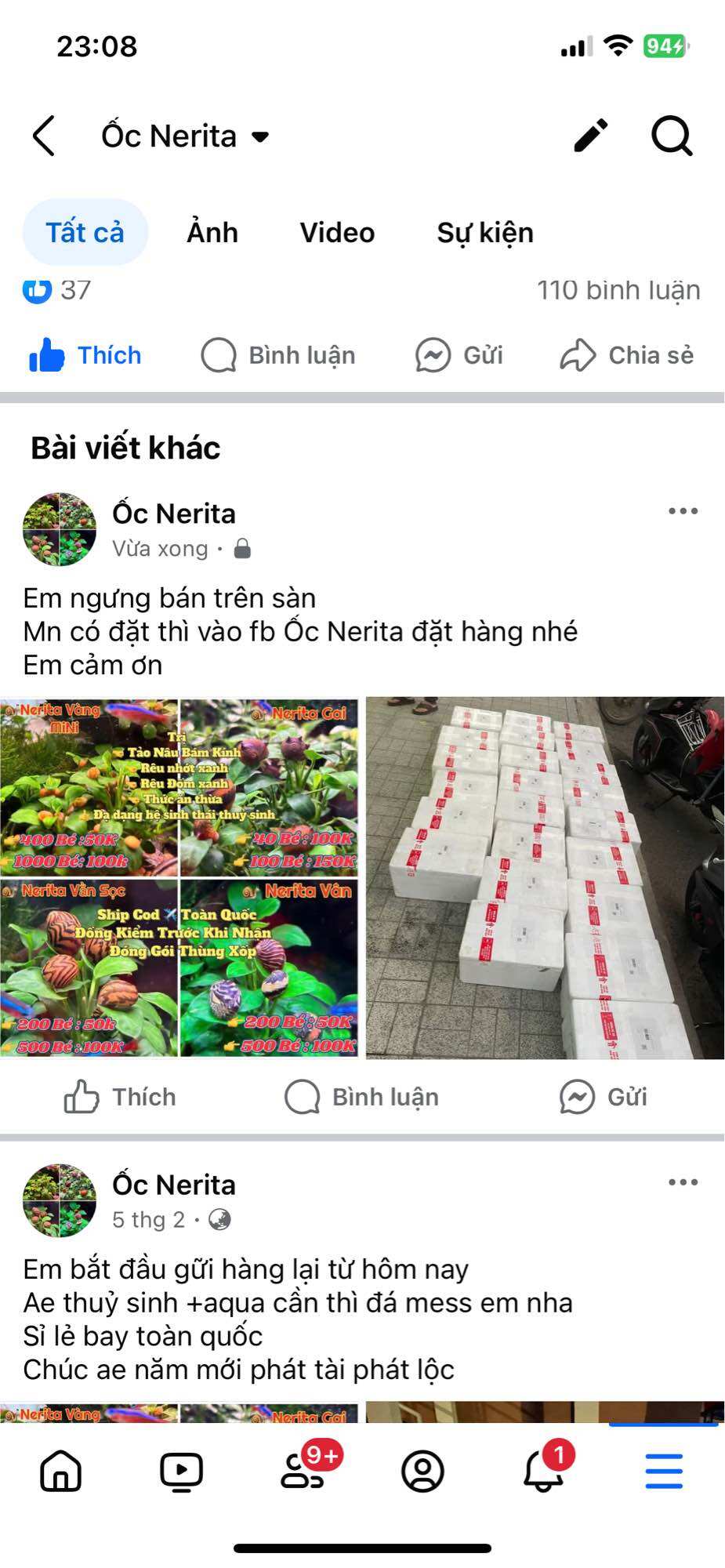 Ốc Nerita Gai Size 10mm-13mm