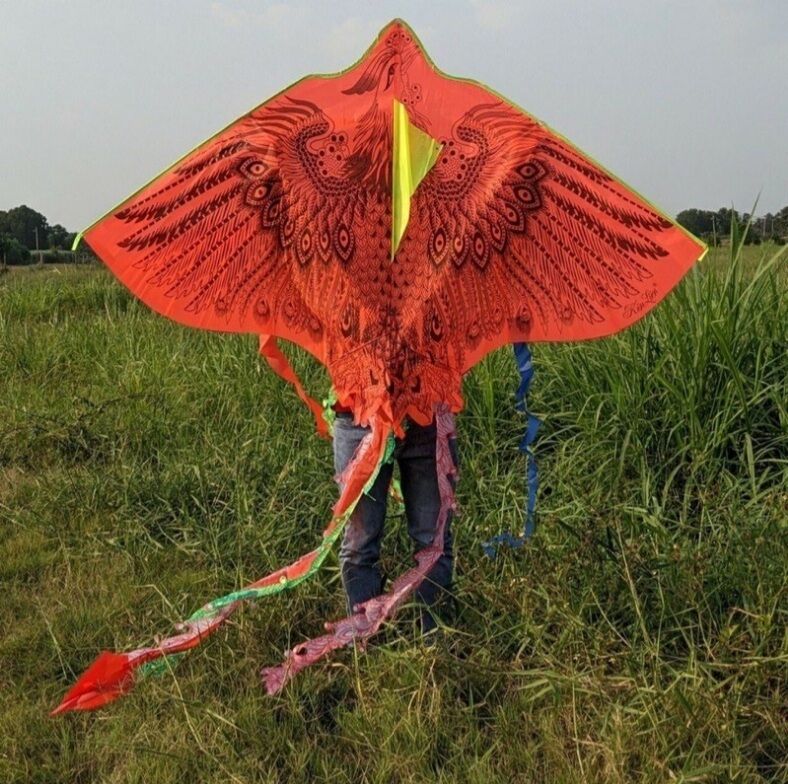 diều Phụng 5 đuôi