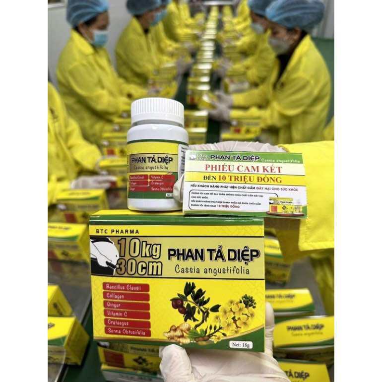 Xổ Mỡ Giảm Cân PHAN TẢ DIỆP - xổ mỡ vành ruột -Giảm 5-10kg dành cho cơ địa khó giảm Kèm Thẻ Bảo Hành