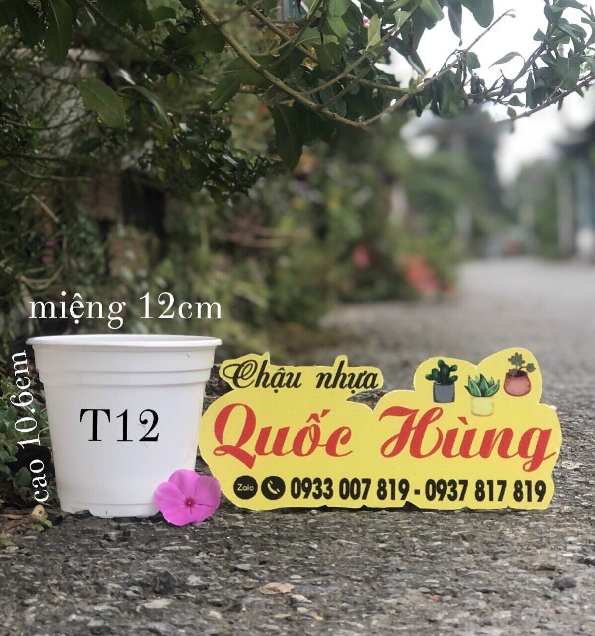 Combo 10 chậu nhựa trồng sen đá T12