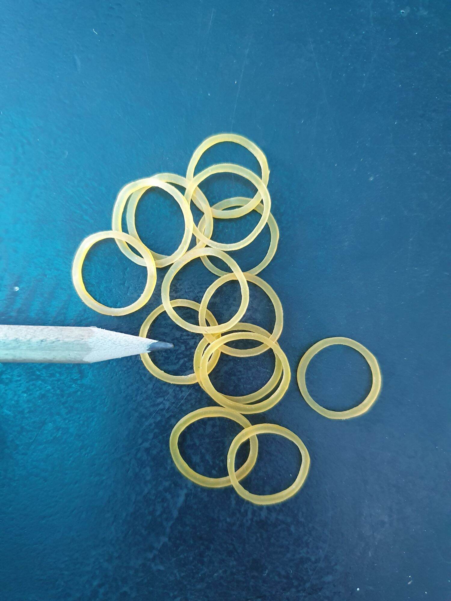 [HCM]Thun ĐỦ 3 SIZE nhỏ trung đại 1 bịch (0.5kg)
