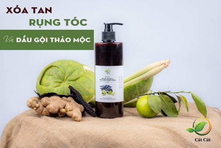 Dầu gội đầu Bồ Kết