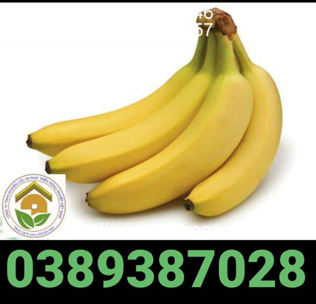 chuối tiêu,3kg