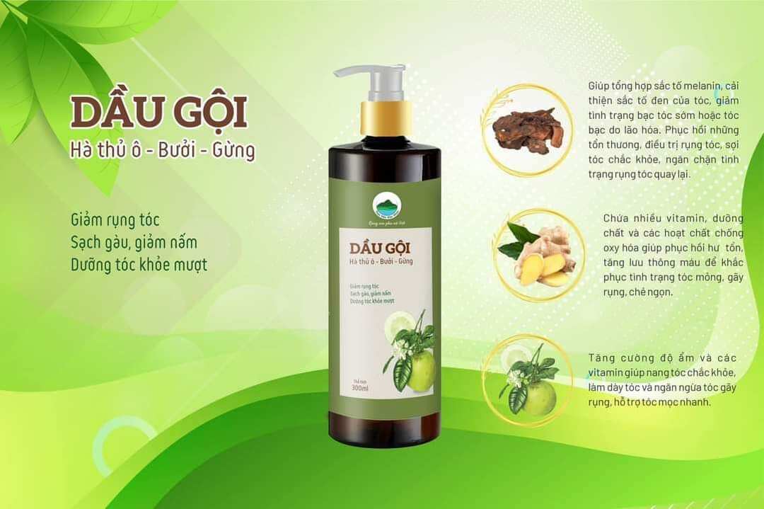 Dầu gội hà thủ ô-bưởi - gừng