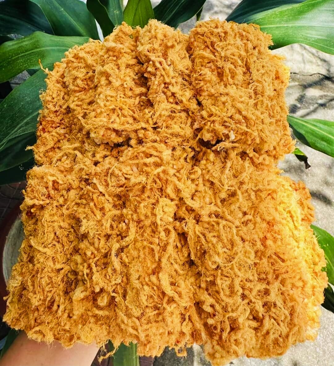 500g cơm cháy siêu chà bông