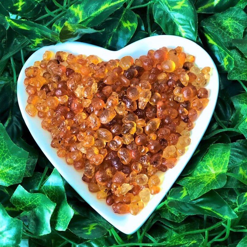 NHỰA ĐÀO (LỆ ĐÀO) - GÓI 100GR