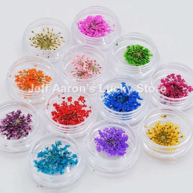 Set hoa khô chùm trang trí nail 12 màu