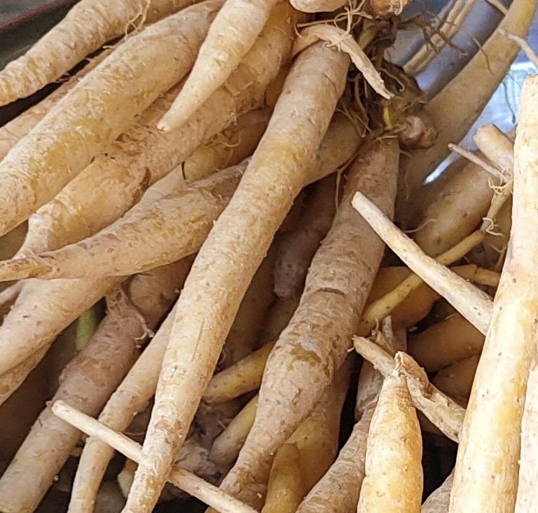 Củ Ngãi nấu bún nước lèo miền Tây 100gr
