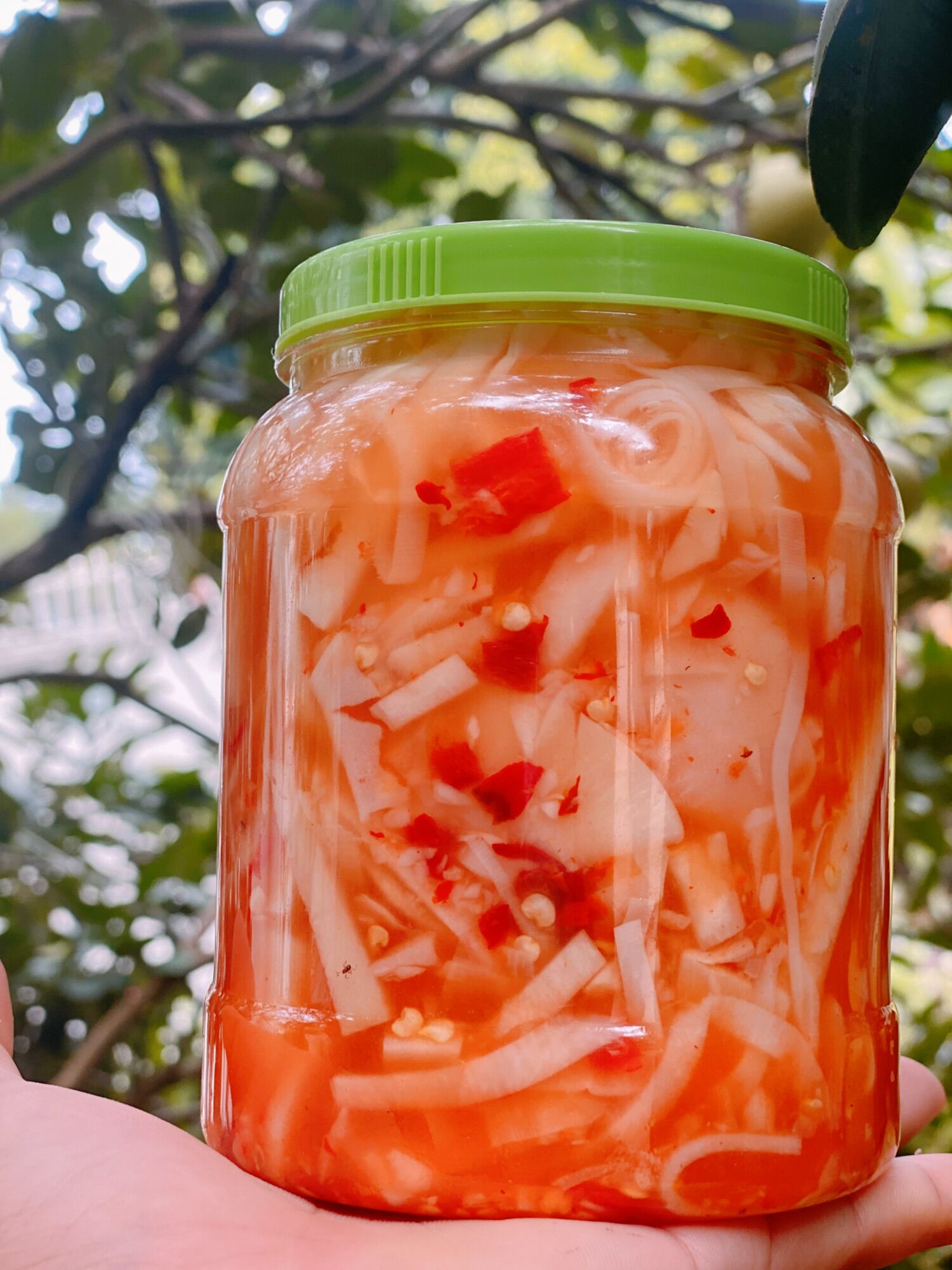 Măng Ngâm Tỏi ớt