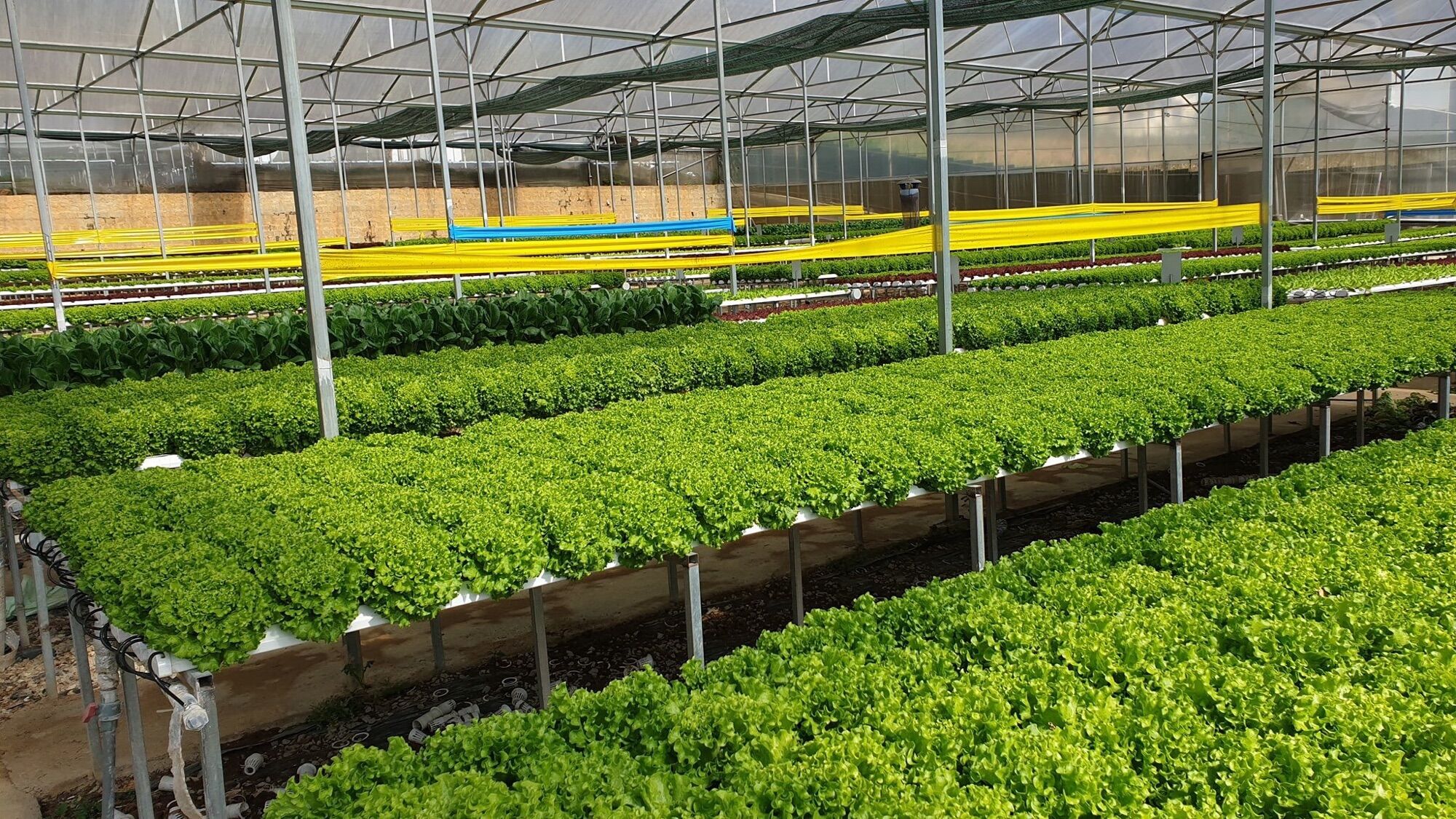 Dinh dưỡng thuỷ canh dạng khô NOVA ISA 20