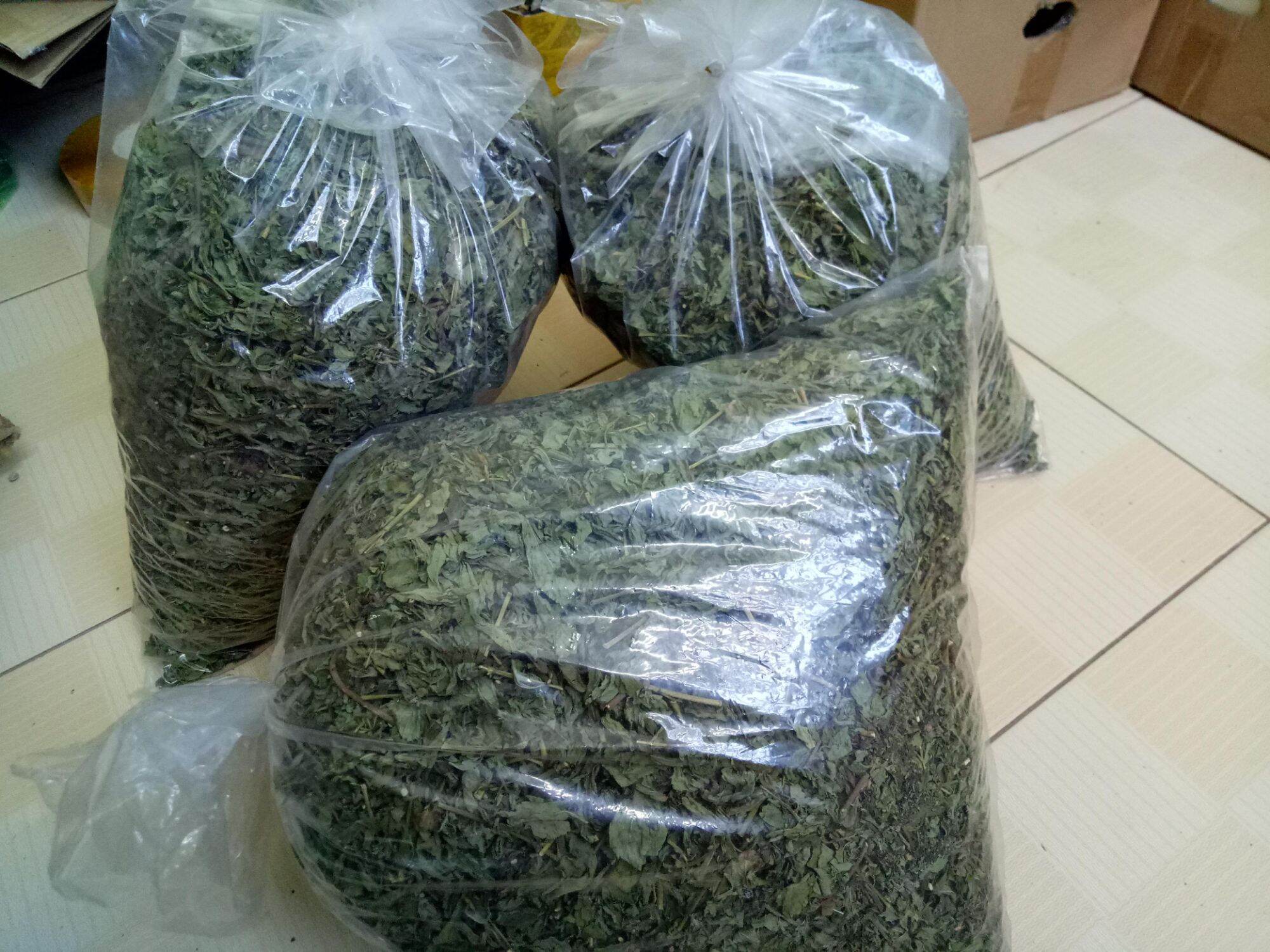 Trà cỏ ngọt sấy khô gói 100g