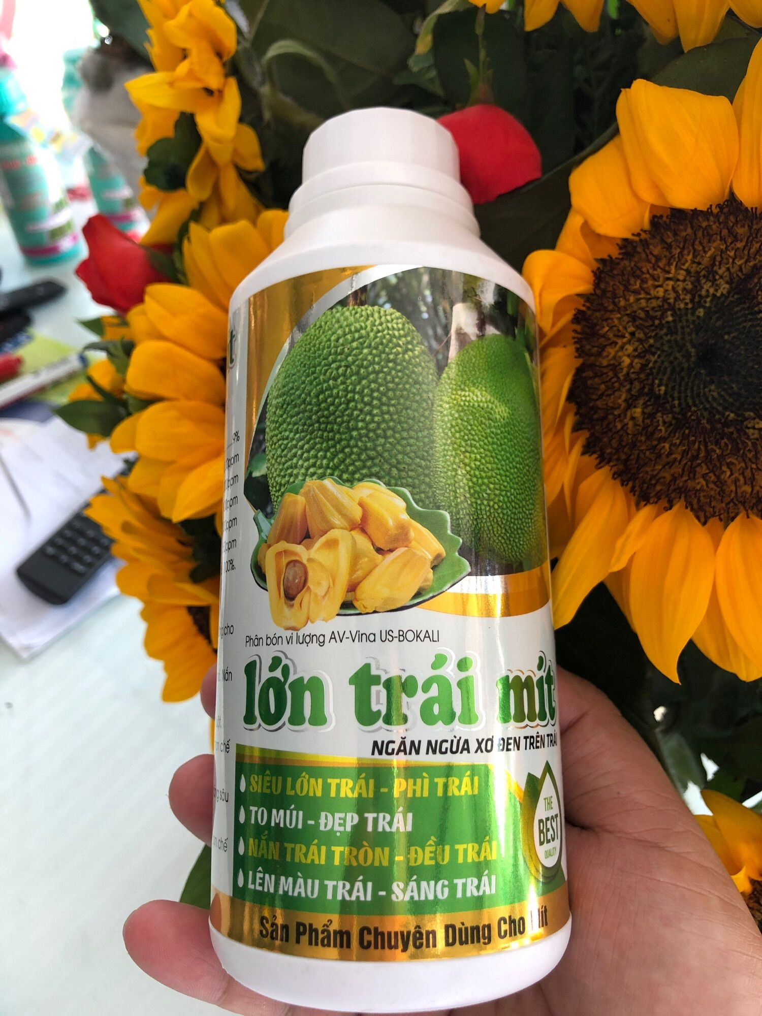 Lớn Trái Mít 500ml - Siêu lớn trái/Bóng trái/Xanh gai/To múi/Lên màu đẹp/Sửa trái to đều/Nặng ký