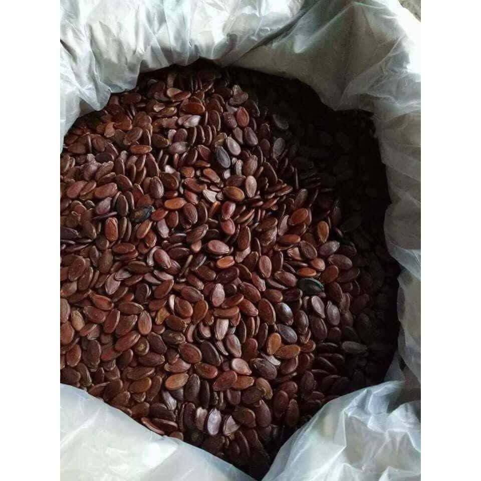 Hạt Dưa Đăk Lăk. hạt dưa loại đặc biệt 500g