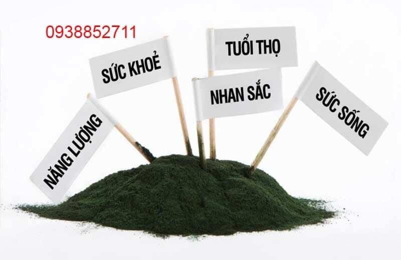 Tảo Spirulina Vĩnh Hảo