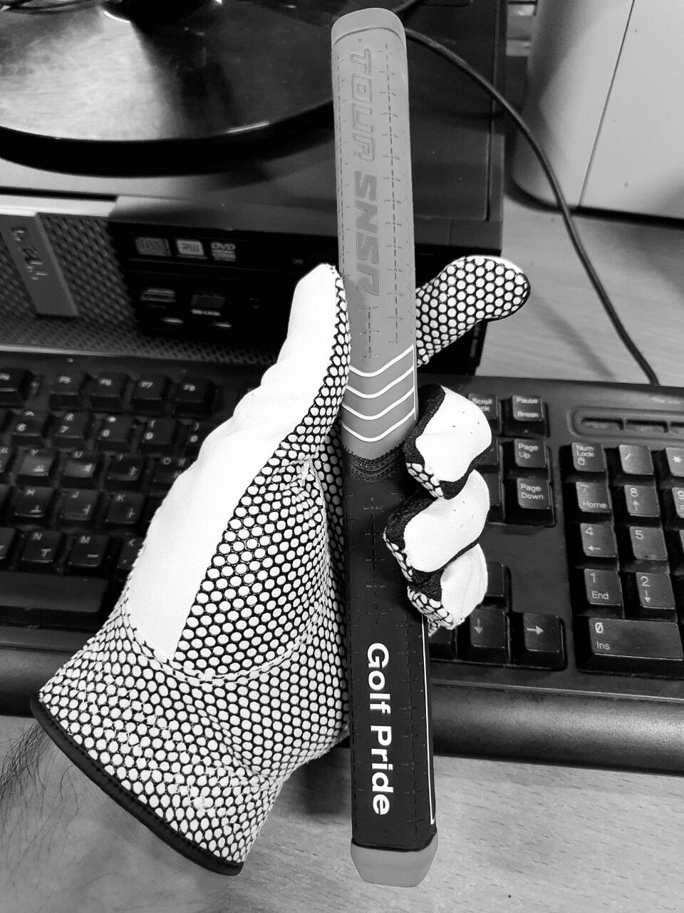 JS  golf gloves 골프장갑