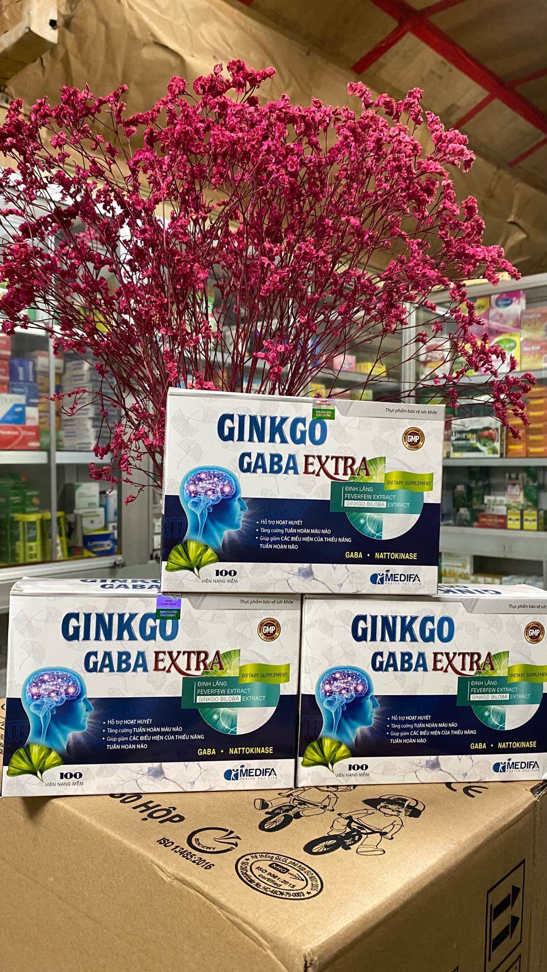 Ginkgo GaBa extra