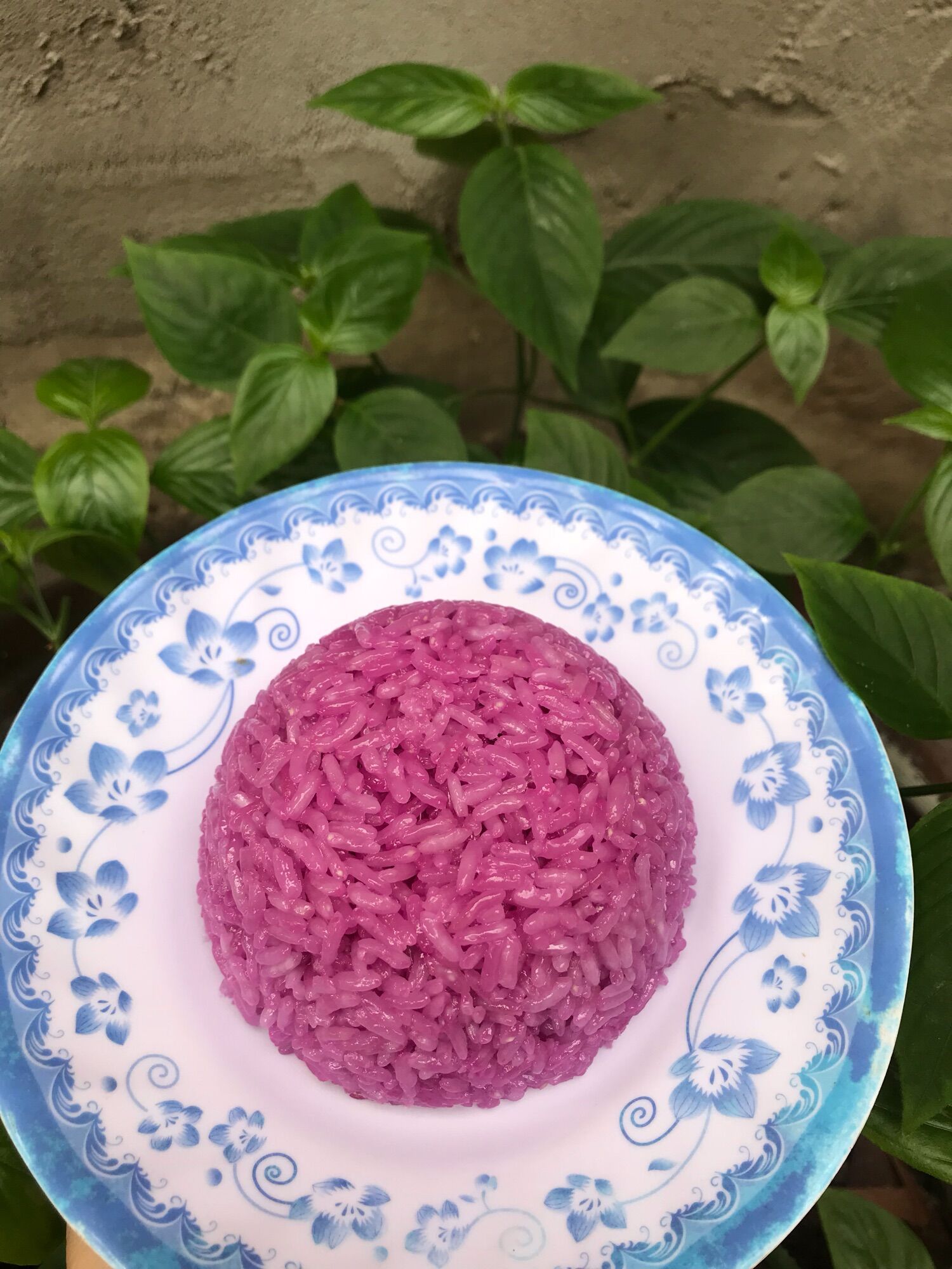 500gr Lá cẩm tím tươi