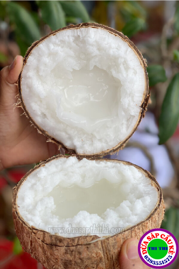 COMBO 2 DỪA SÁP BI ĐẶC (600gr-800gr)