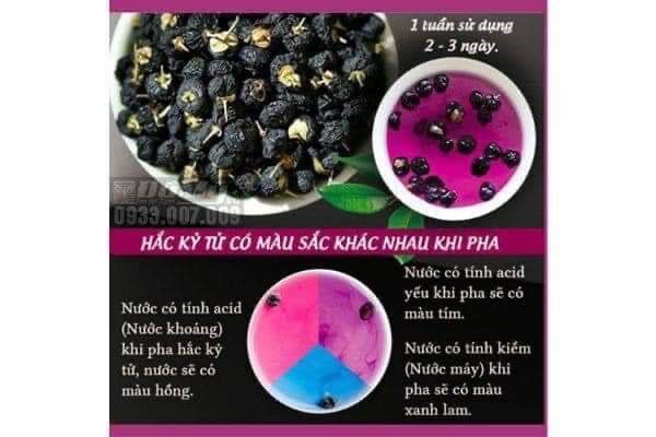 Hắc Kỷ Tử