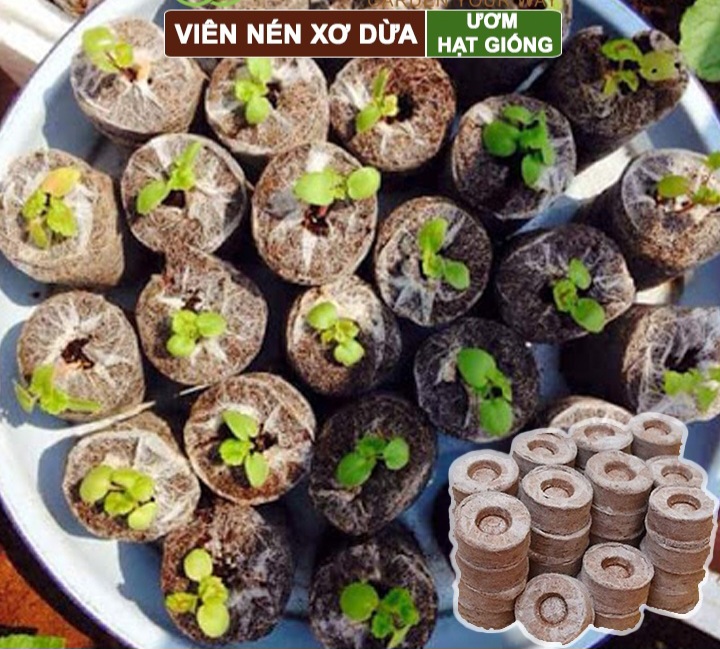 Combo 50 viên nén ươm mầm- viên nén sơ dừa