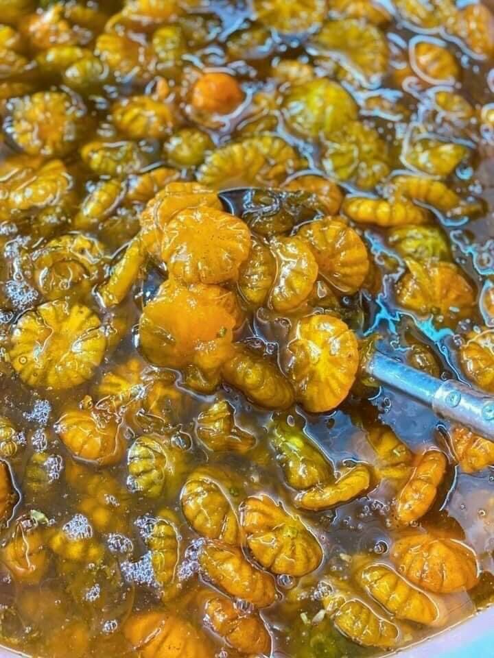 1kg Tắc xí muội hoa