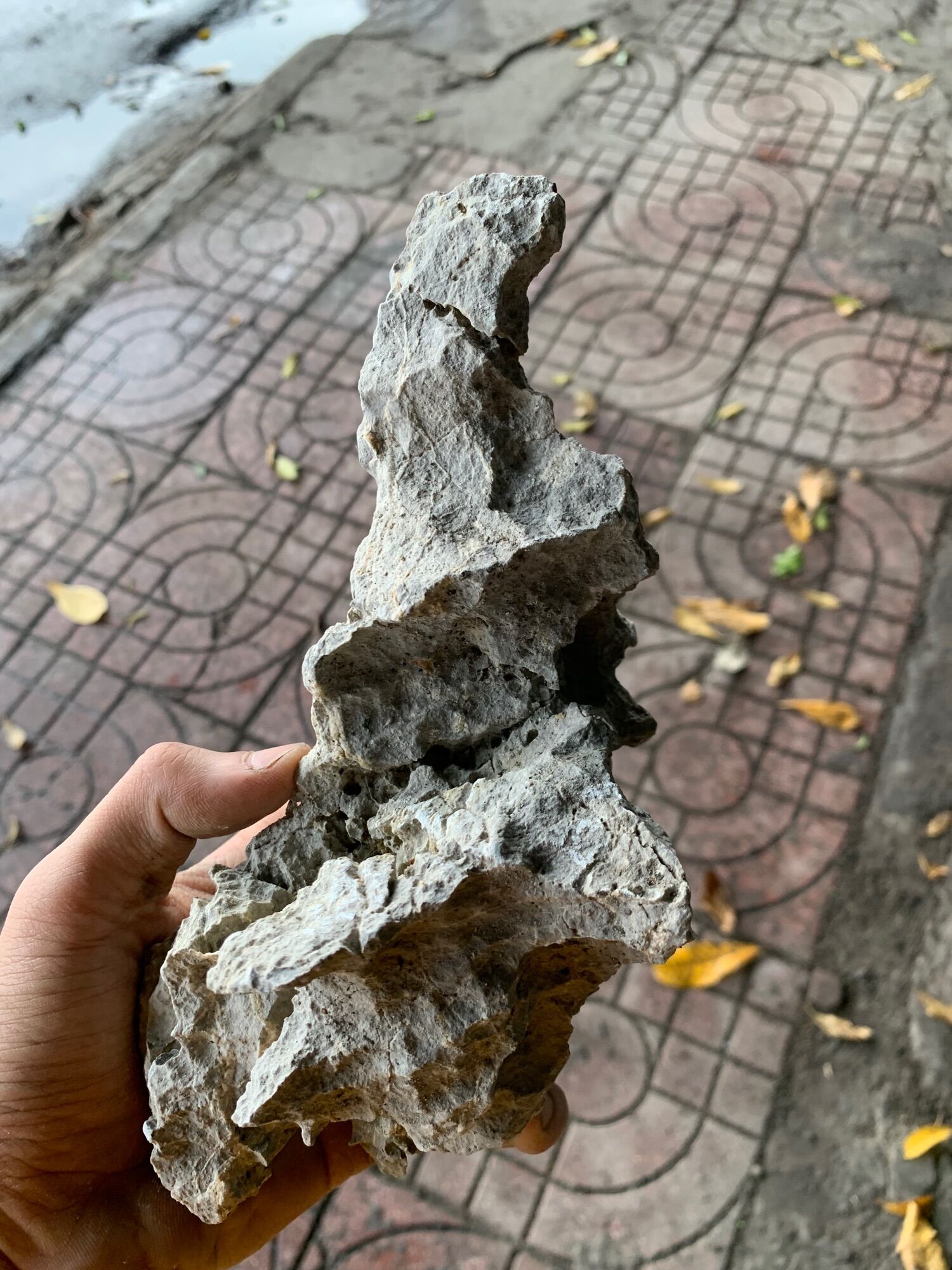 Đá tai mèo,đá lụa kí cây bonsai