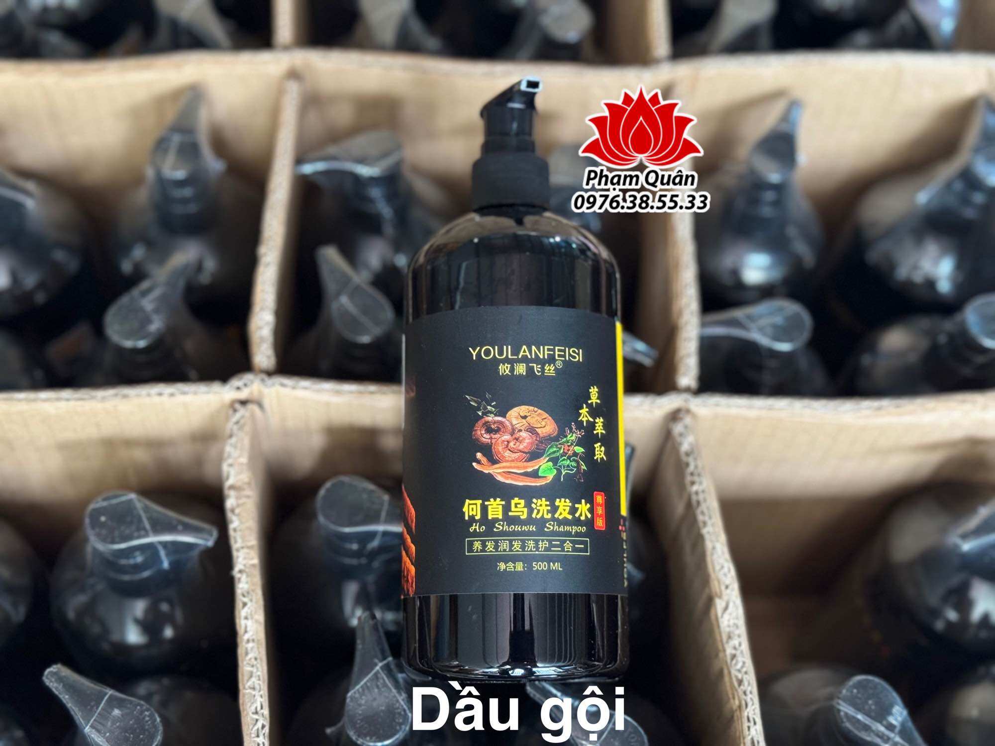 Cặp dầu gội thảo dược Hà Thủ Ô- Linh Chi 500ml