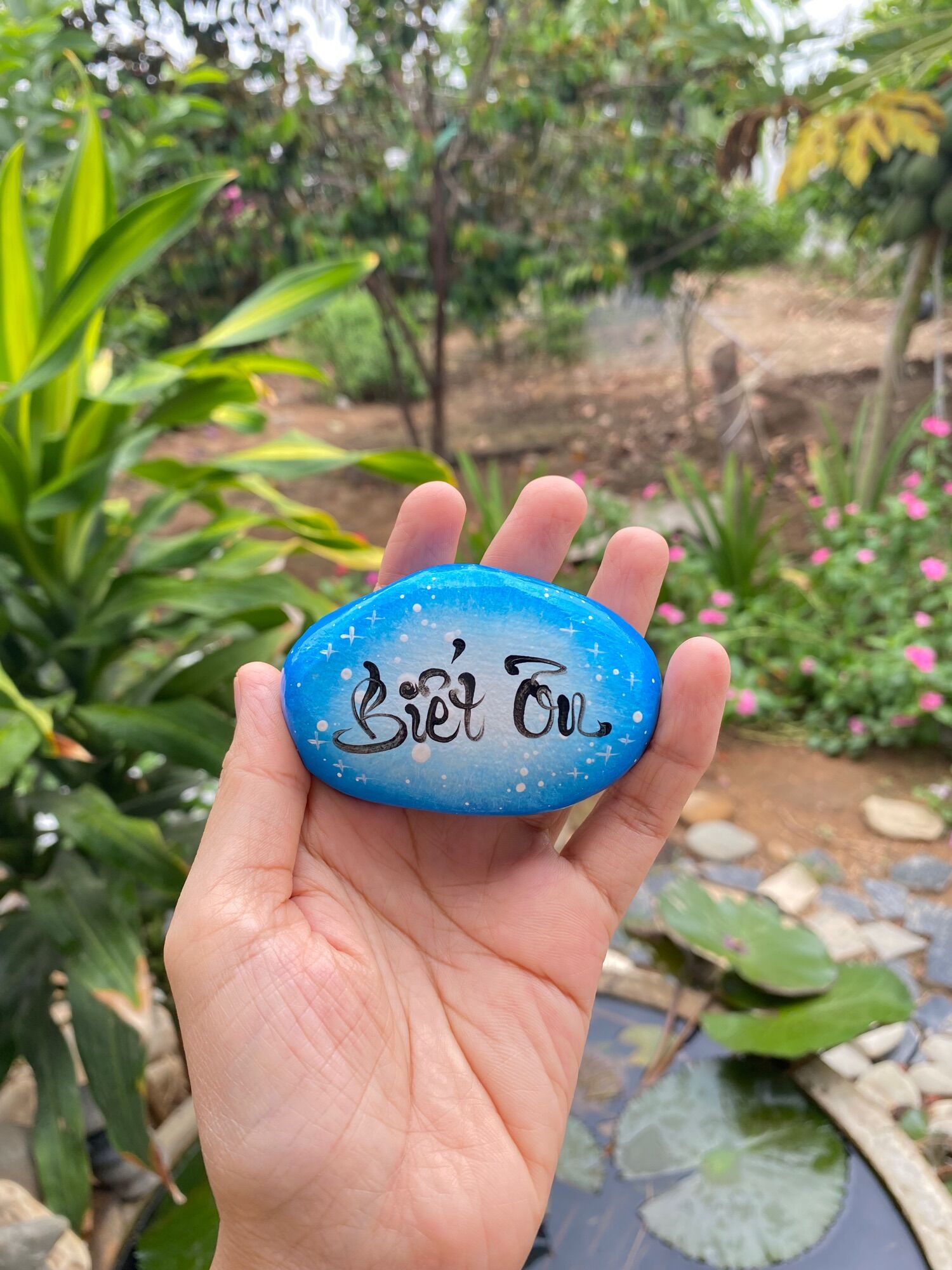 Hòn đá biết ơn  xanh hy vọng