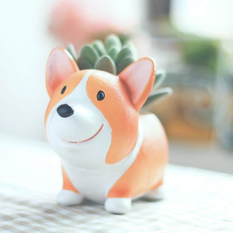 Chậu cún đứng dể thươngmua 1 tặng kèm 1 sen đá